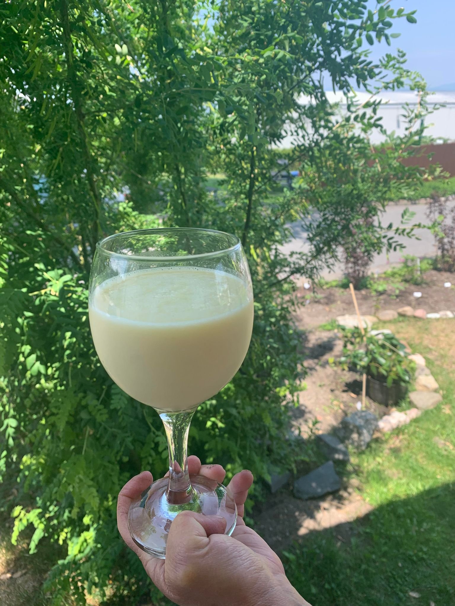 Smoothie aux pommes et poires